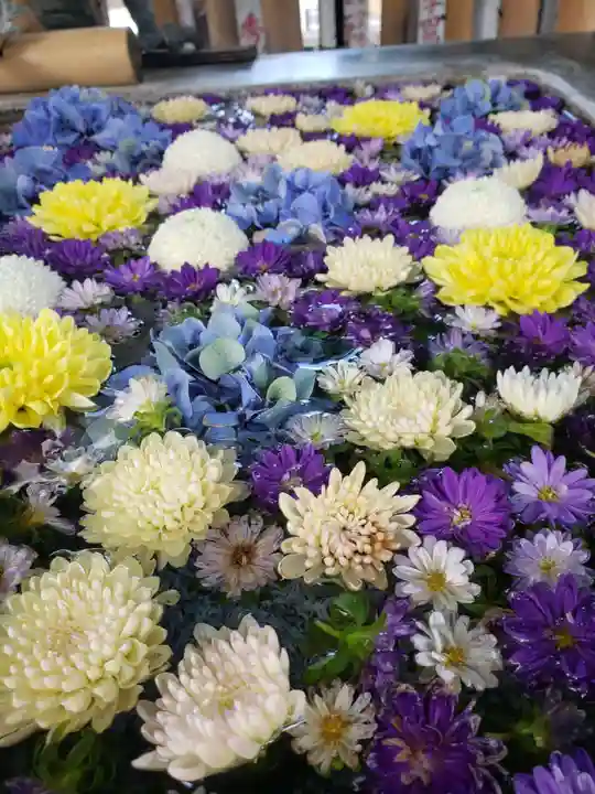 高円寺氷川神社(東京都)