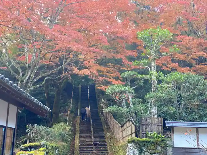 鰐淵寺(島根県)