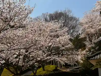 瀧光徳寺の{uncategorized: "未分類", other: "その他", undefined: "問題あり", building: "その他建物", grave: "お墓", sacred_gate: "鳥居", guardian: "狛犬", statue: "像", buddha: "仏像", history: "歴史", nature: "自然", garden: "庭園", animal: "動物", pagoda: "塔", temizu: "手水舎", mountain_gate: "山門・神門", sanctuary: "本殿・本堂", subordinate: "末社・摂社", art: "芸術", scenery: "景色", jizo: "地蔵", ema: "絵馬", goshuin: "御朱印", omikuji: "おみくじ", items: "授与品その他", amulet: "お守り", goshuincho: "御朱印帳", eats: "食事", festival: "お祭り", votive_dance: "神楽", shichigosan: "七五三参", wedding: "結婚式", experience: "体験その他", initially: "初詣", around: "周辺", anti_infection: "感染症対策"}