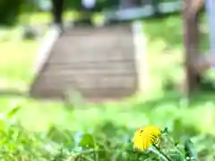 子檀嶺神社(長野県)