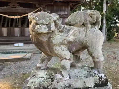 熊野神社の狛犬