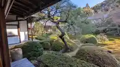 雲龍院(京都府)