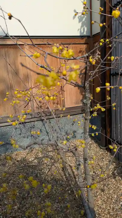勝林寺(京都府)