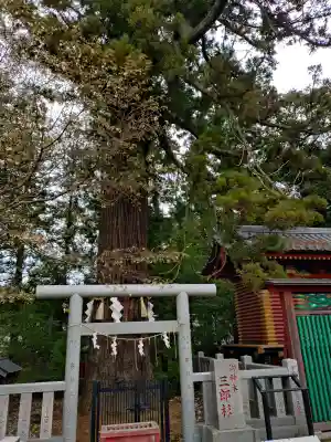 大杉神社 境内社 勝馬神社の{uncategorized: "未分類", other: "その他", undefined: "問題あり", building: "その他建物", grave: "お墓", sacred_gate: "鳥居", guardian: "狛犬", statue: "像", buddha: "仏像", history: "歴史", nature: "自然", garden: "庭園", animal: "動物", pagoda: "塔", temizu: "手水舎", mountain_gate: "山門・神門", sanctuary: "本殿・本堂", subordinate: "末社・摂社", art: "芸術", scenery: "景色", jizo: "地蔵", ema: "絵馬", goshuin: "御朱印", omikuji: "おみくじ", items: "授与品その他", amulet: "お守り", goshuincho: "御朱印帳", eats: "食事", festival: "お祭り", votive_dance: "神楽", shichigosan: "七五三参", wedding: "結婚式", experience: "体験その他", initially: "初詣", around: "周辺", anti_infection: "感染症対策"}