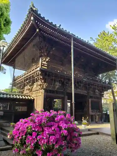 妙法寺(東京都)
