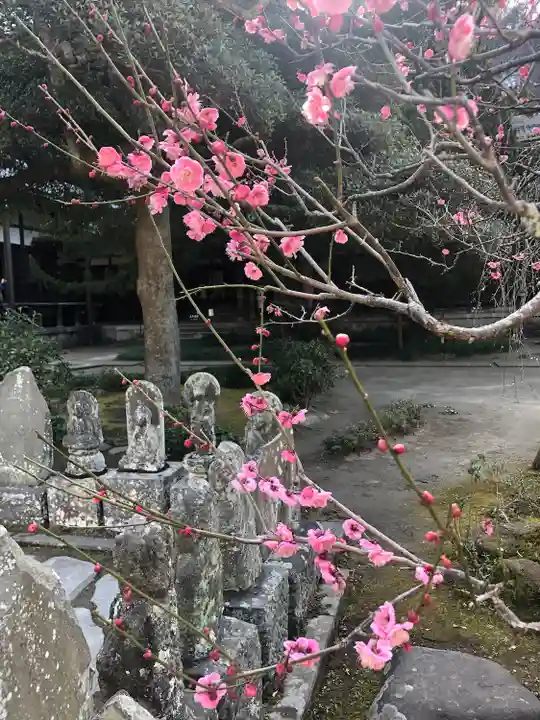 円覚寺(神奈川県)