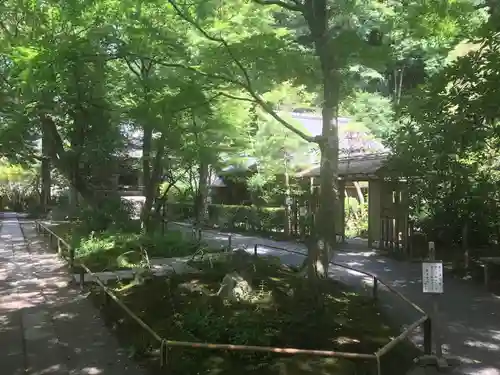 明月院(神奈川県)