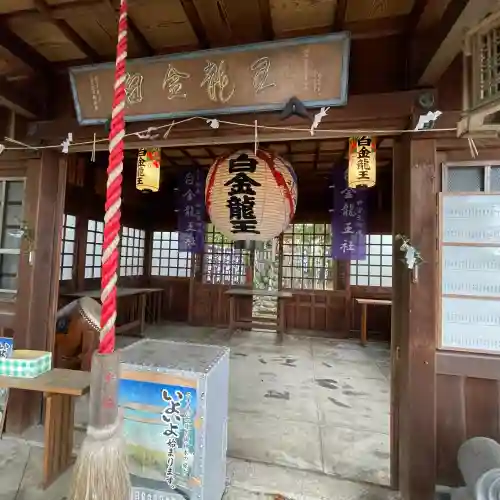 白金龍王社(愛知県)