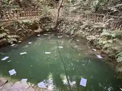 八重垣神社の自然