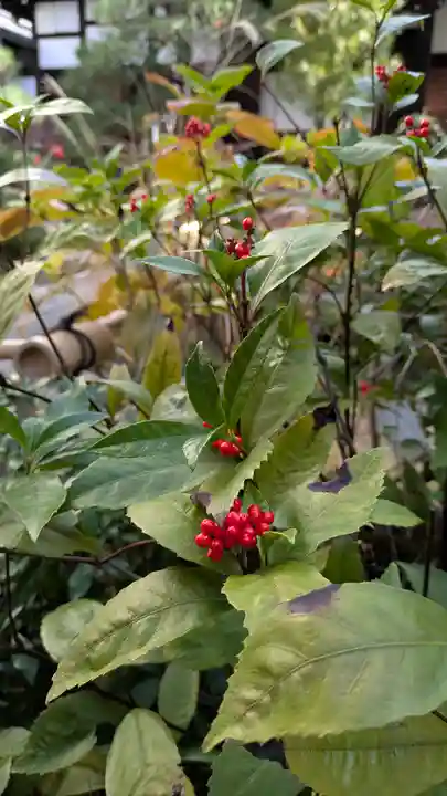 宝蔵寺(京都府)