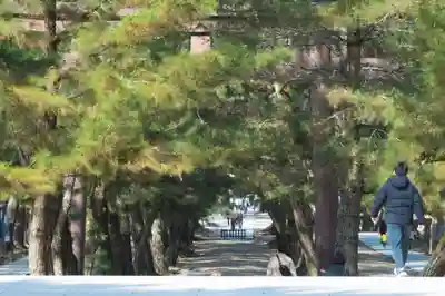 出雲大社(島根県)