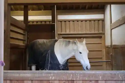 金刀比羅宮(香川県)