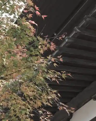 西善寺(埼玉県)