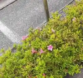 西方山極楽寺の自然