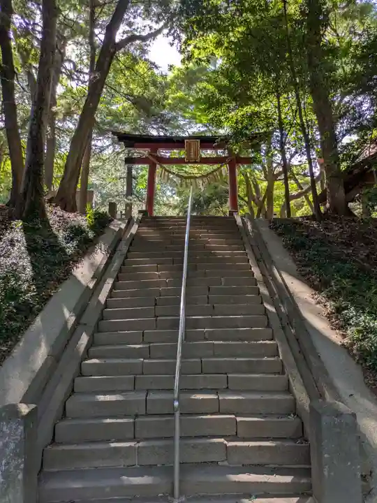 氷川女體神社(埼玉県)