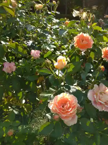 霊山寺(奈良県)