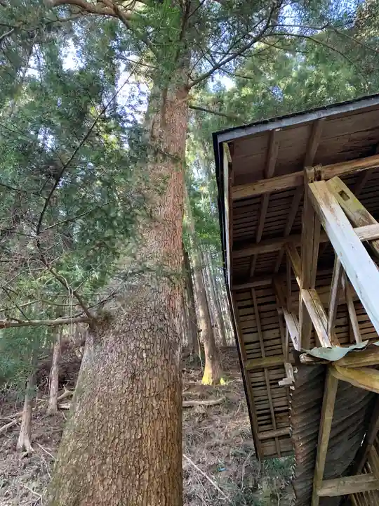 尾出山神社の自然