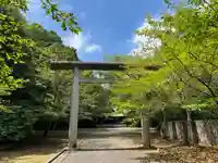 乃木神社の鳥居