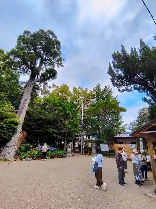 竹神社(三重県)