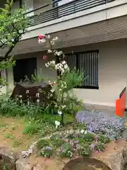 生田神社の自然