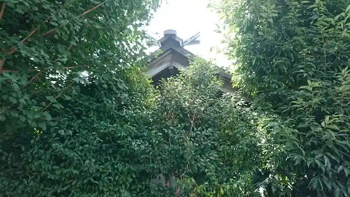東林間神社の本殿・本堂