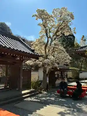 佛日庵の{uncategorized: "未分類", other: "その他", undefined: "問題あり", building: "その他建物", grave: "お墓", sacred_gate: "鳥居", guardian: "狛犬", statue: "像", buddha: "仏像", history: "歴史", nature: "自然", garden: "庭園", animal: "動物", pagoda: "塔", temizu: "手水舎", mountain_gate: "山門・神門", sanctuary: "本殿・本堂", subordinate: "末社・摂社", art: "芸術", scenery: "景色", jizo: "地蔵", ema: "絵馬", goshuin: "御朱印", omikuji: "おみくじ", items: "授与品その他", amulet: "お守り", goshuincho: "御朱印帳", eats: "食事", festival: "お祭り", votive_dance: "神楽", shichigosan: "七五三参", wedding: "結婚式", experience: "体験その他", initially: "初詣", around: "周辺", anti_infection: "感染症対策"}