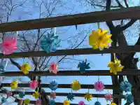 温泉神社〜いわき湯本温泉〜の{uncategorized: "未分類", other: "その他", undefined: "問題あり", building: "その他建物", grave: "お墓", sacred_gate: "鳥居", guardian: "狛犬", statue: "像", buddha: "仏像", history: "歴史", nature: "自然", garden: "庭園", animal: "動物", pagoda: "塔", temizu: "手水舎", mountain_gate: "山門・神門", sanctuary: "本殿・本堂", subordinate: "末社・摂社", art: "芸術", scenery: "景色", jizo: "地蔵", ema: "絵馬", goshuin: "御朱印", omikuji: "おみくじ", items: "授与品その他", amulet: "お守り", goshuincho: "御朱印帳", eats: "食事", festival: "お祭り", votive_dance: "神楽", shichigosan: "七五三参", wedding: "結婚式", experience: "体験その他", initially: "初詣", around: "周辺", anti_infection: "感染症対策"}