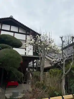慈眼寺の{uncategorized: "未分類", other: "その他", undefined: "問題あり", building: "その他建物", grave: "お墓", sacred_gate: "鳥居", guardian: "狛犬", statue: "像", buddha: "仏像", history: "歴史", nature: "自然", garden: "庭園", animal: "動物", pagoda: "塔", temizu: "手水舎", mountain_gate: "山門・神門", sanctuary: "本殿・本堂", subordinate: "末社・摂社", art: "芸術", scenery: "景色", jizo: "地蔵", ema: "絵馬", goshuin: "御朱印", omikuji: "おみくじ", items: "授与品その他", amulet: "お守り", goshuincho: "御朱印帳", eats: "食事", festival: "お祭り", votive_dance: "神楽", shichigosan: "七五三参", wedding: "結婚式", experience: "体験その他", initially: "初詣", around: "周辺", anti_infection: "感染症対策"}