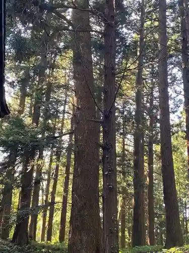 七崎神社の自然