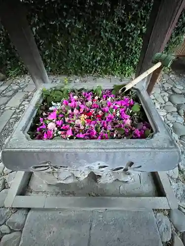 於菊稲荷神社(群馬県)