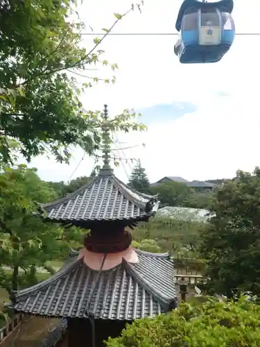 よみうりランド観音(東京都)