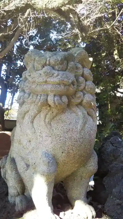 柏諏訪神社の狛犬