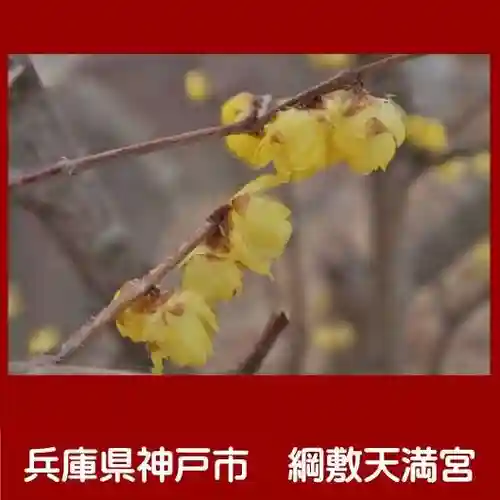 綱敷天満宮(兵庫県)