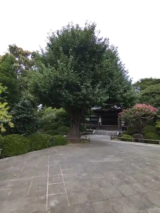 高円寺のその他建物