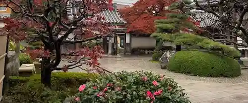 梅香寺の庭園