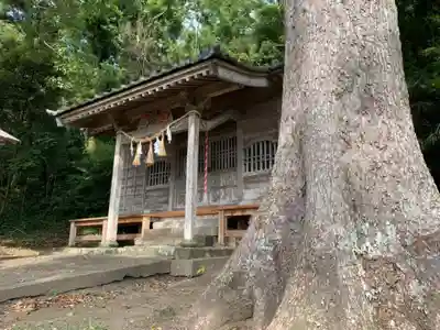 熊野神社の本殿・本堂
