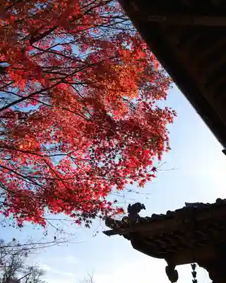 懐古神社(長野県)