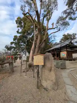 安居神社(大阪府)