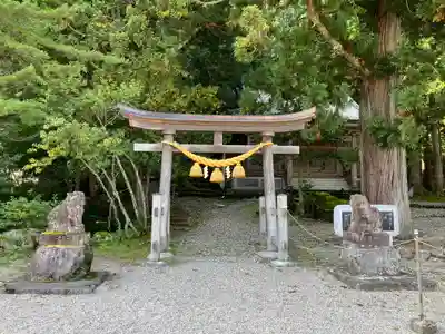 鳩谷八幡神社(岐阜県)