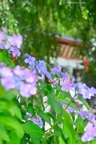 太平山神社(栃木県)
