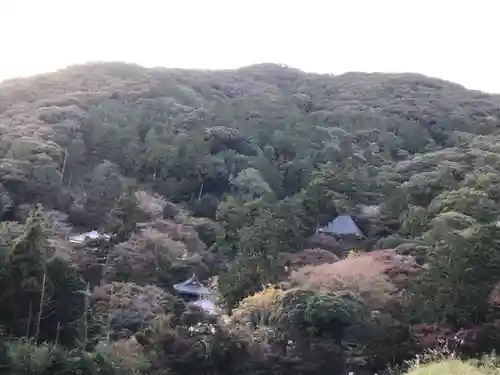 普門寺(切り絵御朱印発祥の寺)の景色