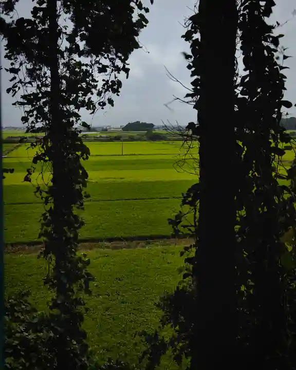 千勝神社(茨城県)