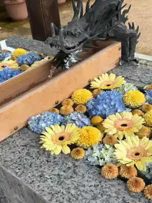 川越八幡宮(埼玉県)