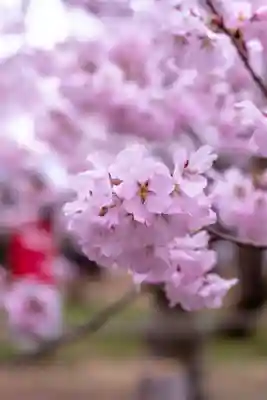 新城藤原神社(長野県)