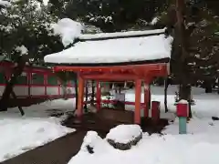 出石神社の手水