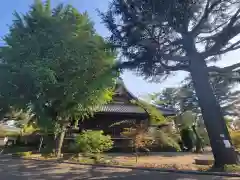 寛永寺(根本中堂)の建物その他