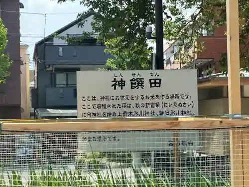 鎮守氷川神社(埼玉県)