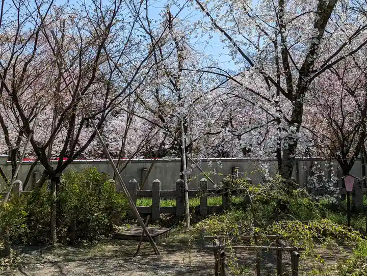 平野神社(京都府)