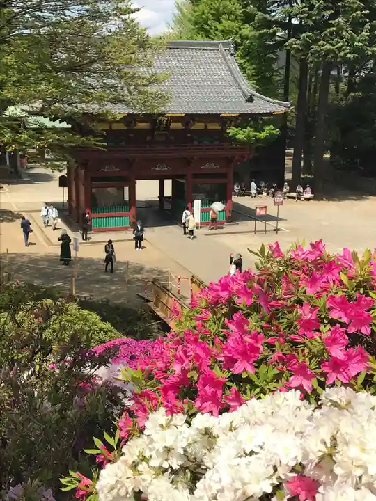根津神社(東京都)