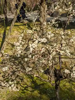 城南宮(京都府)